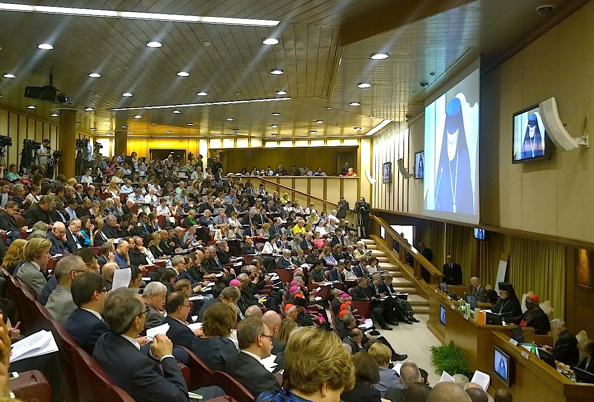 The presentation of enciclica Laudato sii