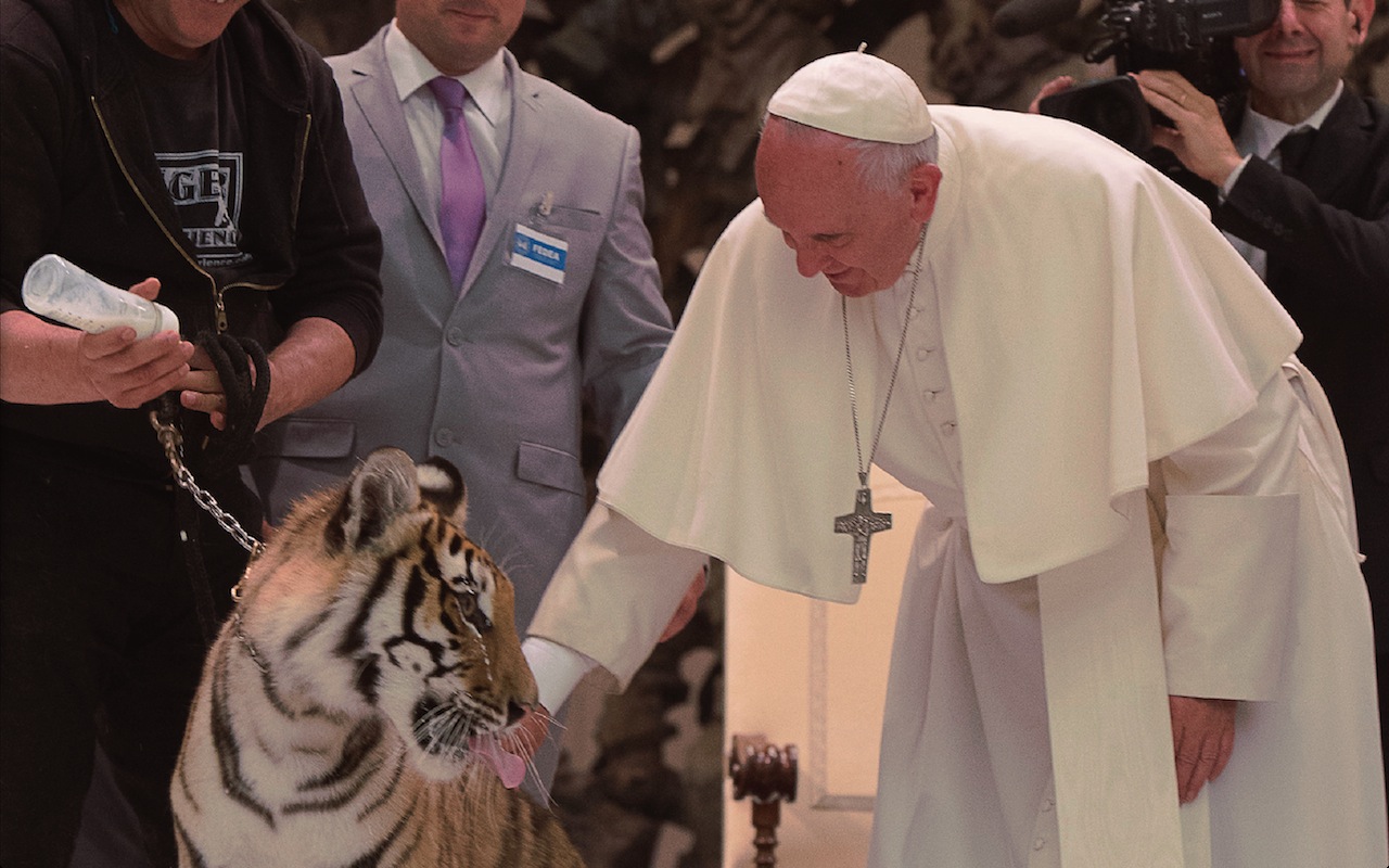 El Papa acaricia un tigre (© Osservatore Romano)