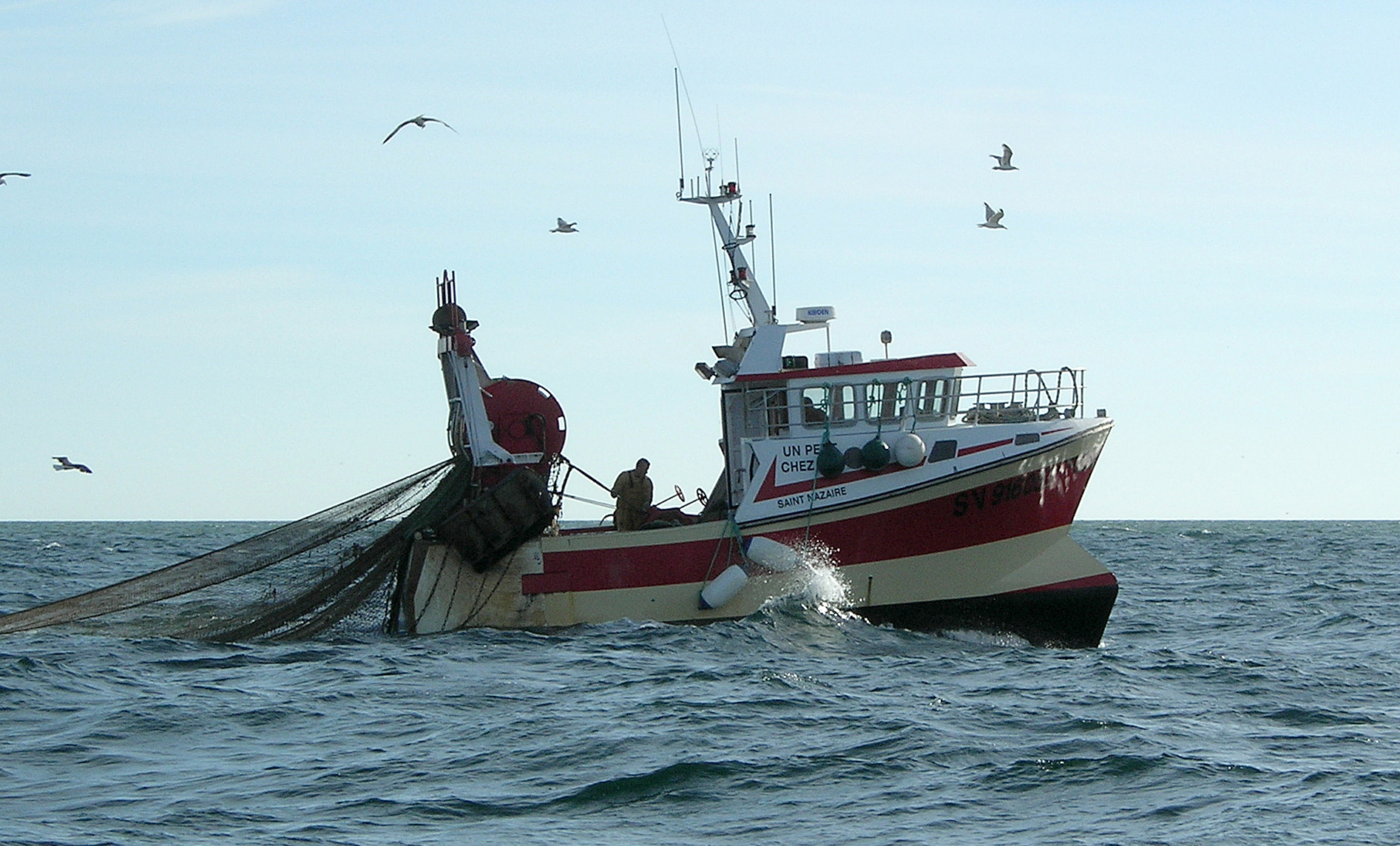 Pesca. (Fto Céréales Killer - wikicommons - cc)