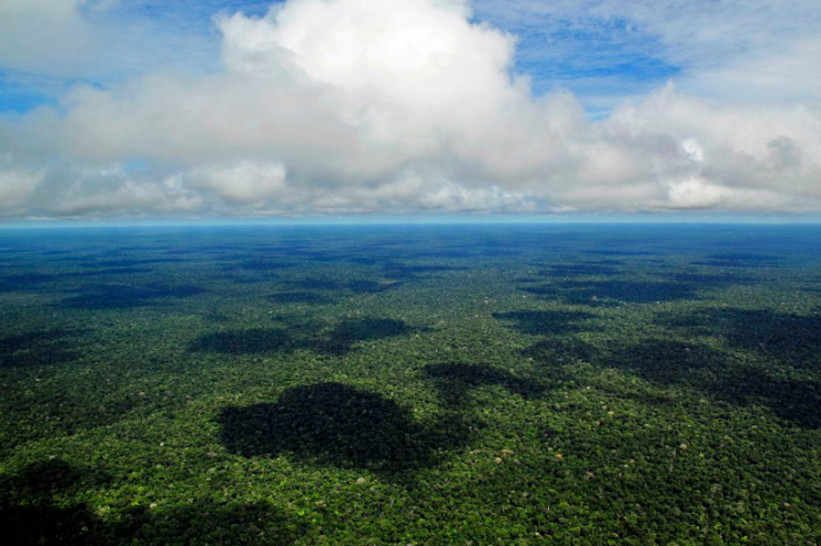 Bosque amazónico © Wikimedia Commons / Neil Palmer