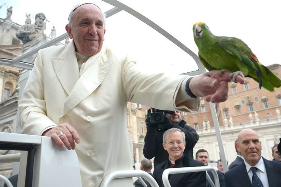 El Papa sostiene un pájaro tropical en su mano © Diócesis de Málaga