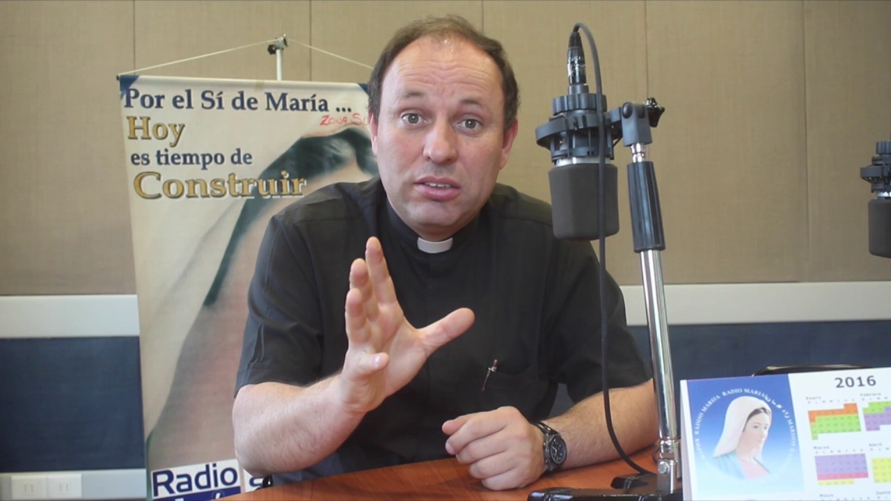 Padre Carlos Irarrázaval, ex director de Radio María