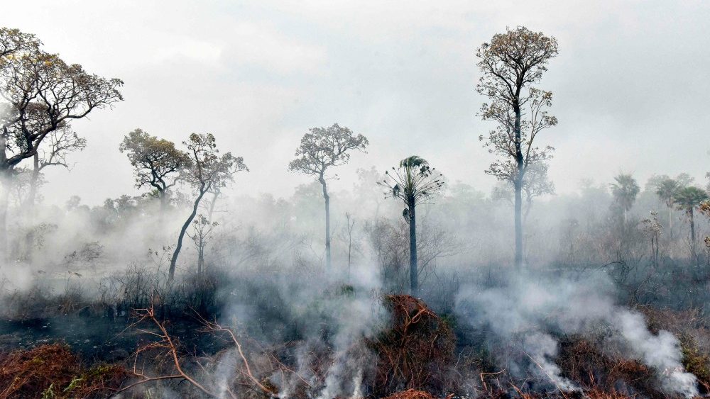 Bosques amazónicos en llamas © Vatican News