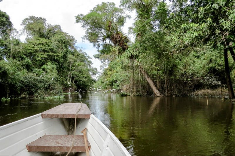 Una canoa navega por la Amazonía © Futuro verde