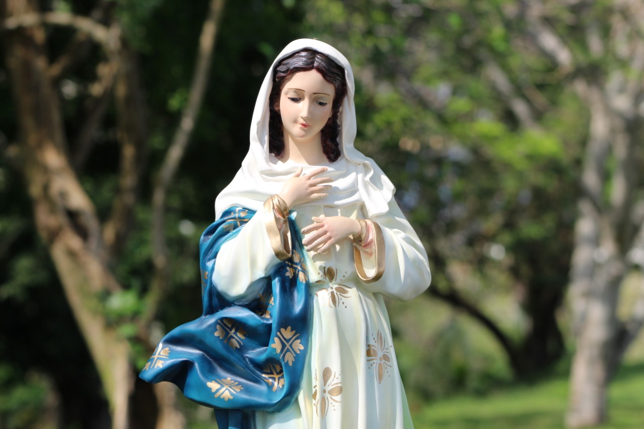 La Inmaculada Concepción de María en la historia de la devoción cristiana