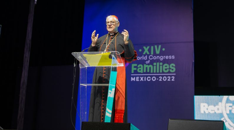 Los jóvenes deben tener coraje de identificarse con su propio cuerpo”, dice  cardenal Müller sobre ideología de género - ZENIT - Espanol