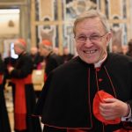 Cardenal Kasper formula propuesta que replantea el papel de los cardenales en la Iglesia católica
