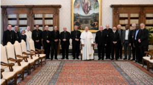 los miembros del Consejo fueron recibidos en audiencia por el Papa Francisco, quien les animó a continuar su trabajo.