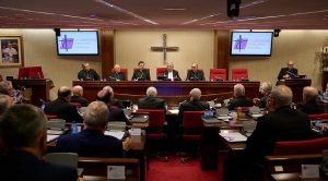 la Conferencia Episcopal Española (CEE) celebró una Asamblea Plenaria extraordinaria