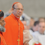 cardenal Oswald Gracias, arzobispo de Mumbai y uno de los principales consejeros del Papa Francisco