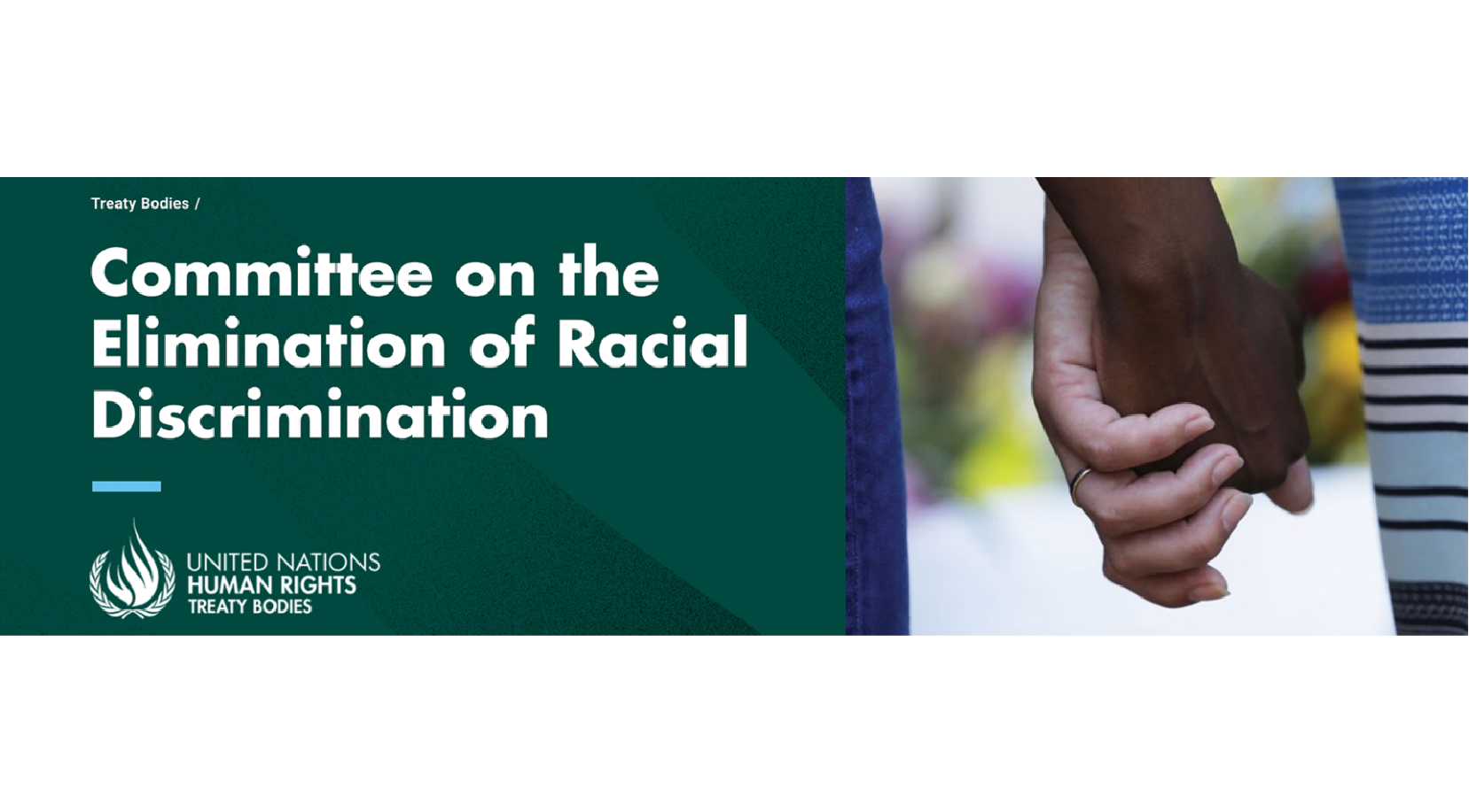 Comité para la Eliminación de la Discriminación Racial (CERD)