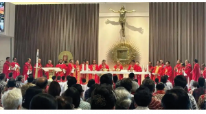 Durante la celebración, el cardenal recordó el tema de la reciente visita del Papa Francisco: fe, fraternidad y compasión