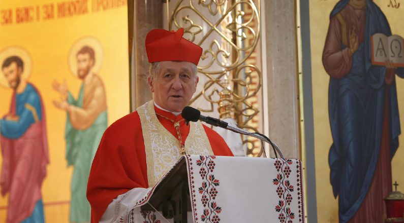 cardenal Blase J. Cupich, arzobispo de Chicago