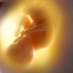 Puerto Rico redefine el marco legal de la vida prenatal: todo ser humano se considera persona natural Puerto Rico redefine el marco legal de la vida prenatal: todo ser humano se considera persona natural