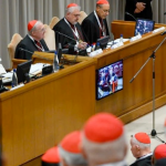 Liturgia y Curia Romana quedan fuera como tema del primer consistorio de León XIV: de esto se habló