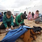 Gaza, el colapso del sistema escolar