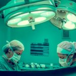 Vaticano dice “sí” al trasplante de órganos de animales a humanos: esto dice un nuevo documento