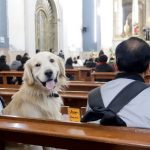 Dan la Eucaristía a sus perros, los acusan ante el obispo y la diócesis dicta resolución: ¿cuál fue?