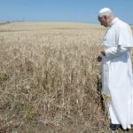 De Radio Vaticana a las Energías Renovables: León XIV impulsa un ambicioso plan para un Vaticano energéticamente independiente