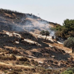 Colonos judíos incendian deliberadamente campos del único pueblo completamente cristiano de Tierra Santa