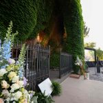 Papa en Lourdes: Santuario Mariano cierra inscripciones tras verse desbordado por afluencia masiva