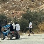 Los olivos de Taybeh, bajo ataque de colonos judíos: comunidad cristiana lucha por preservar su tierra, su sustento y su identidad
